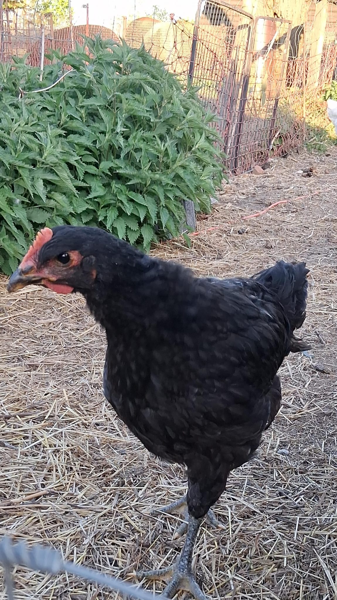 WhatsApp Image 2025-05-29 at 21.30.22 (6)