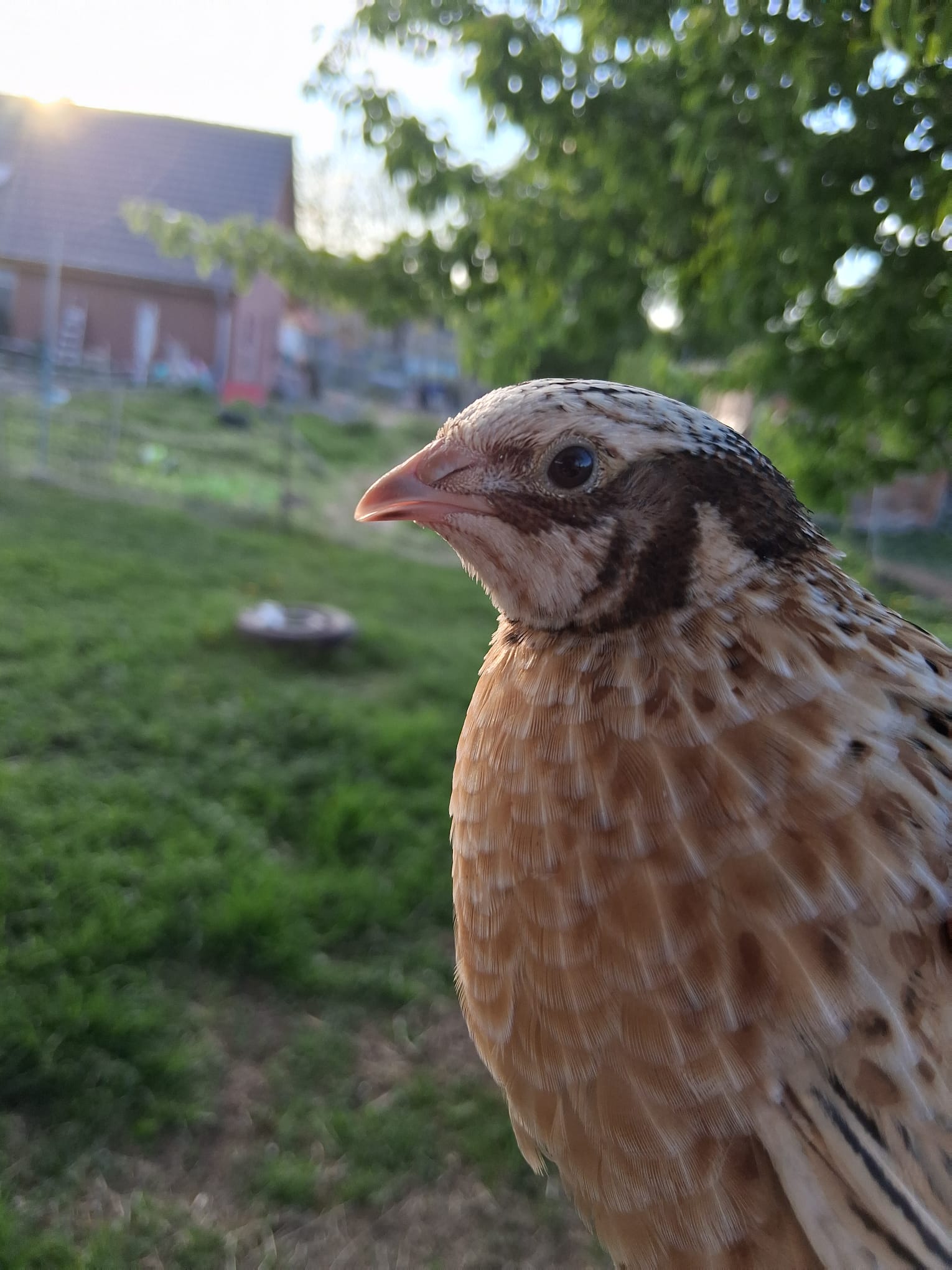 WhatsApp Image 2025-05-29 at 21.30.22 (9)