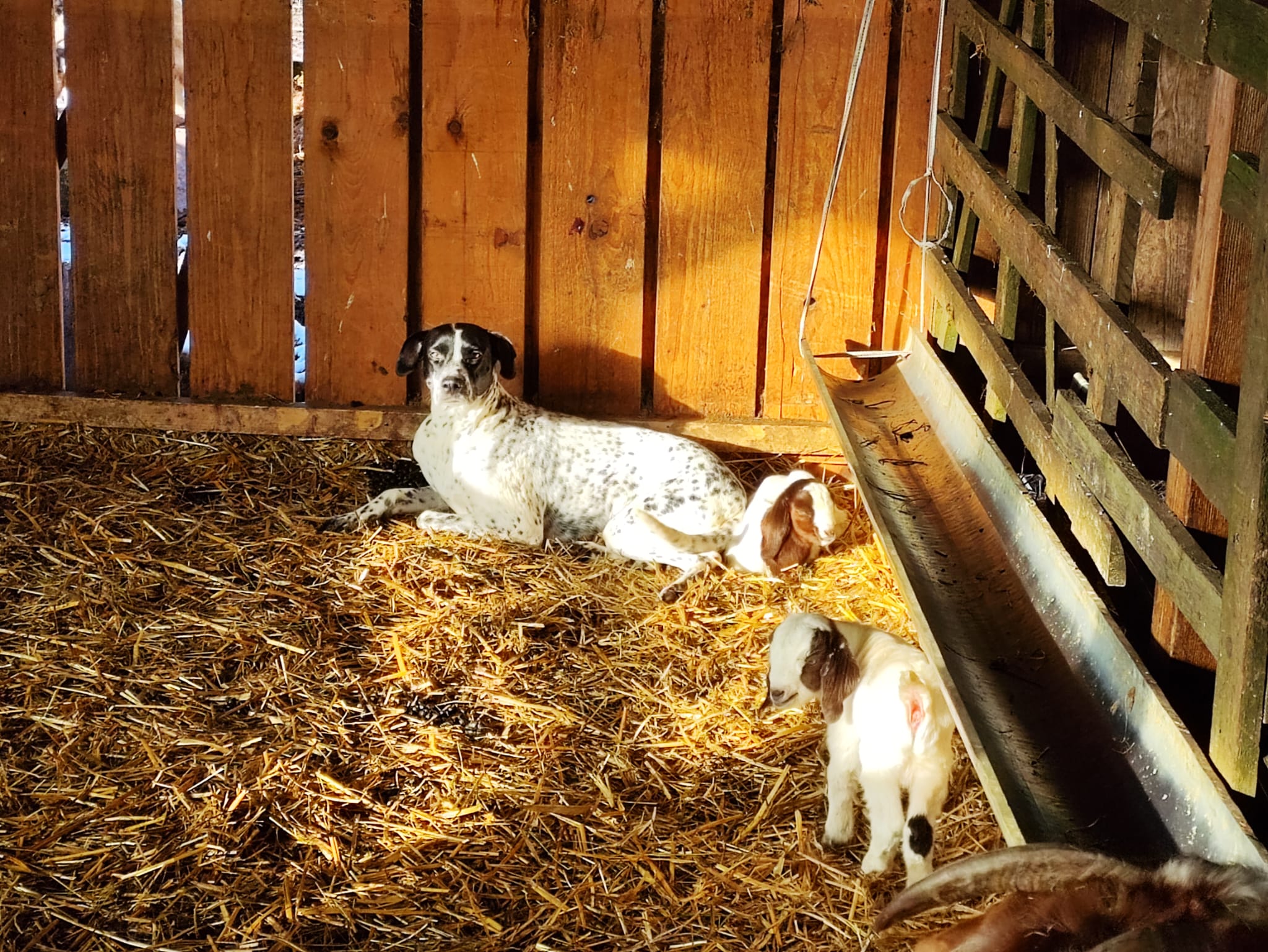 WhatsApp Image 2025-05-29 at 21.30.23 (2)