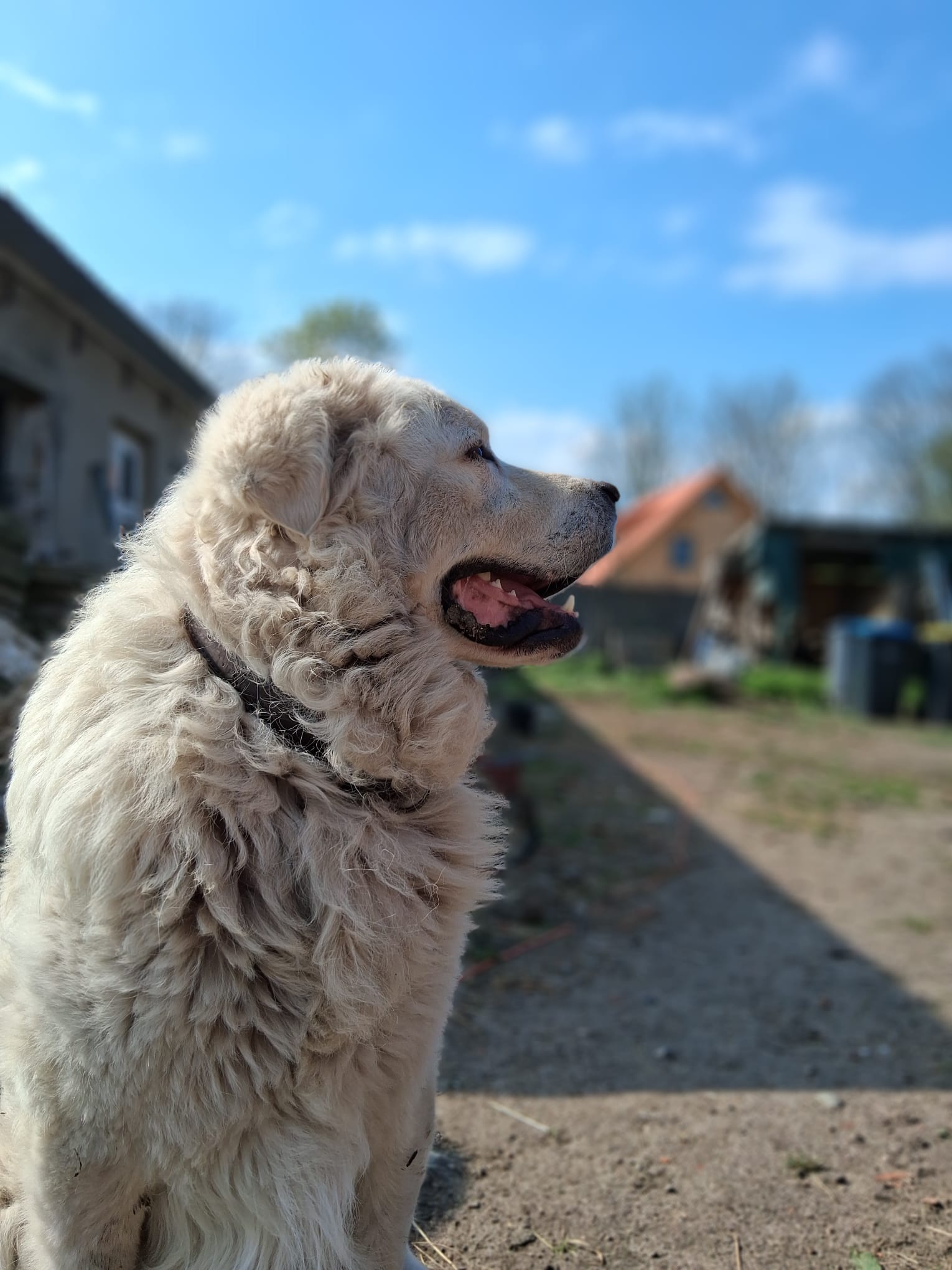 WhatsApp Image 2025-05-29 at 21.30.23