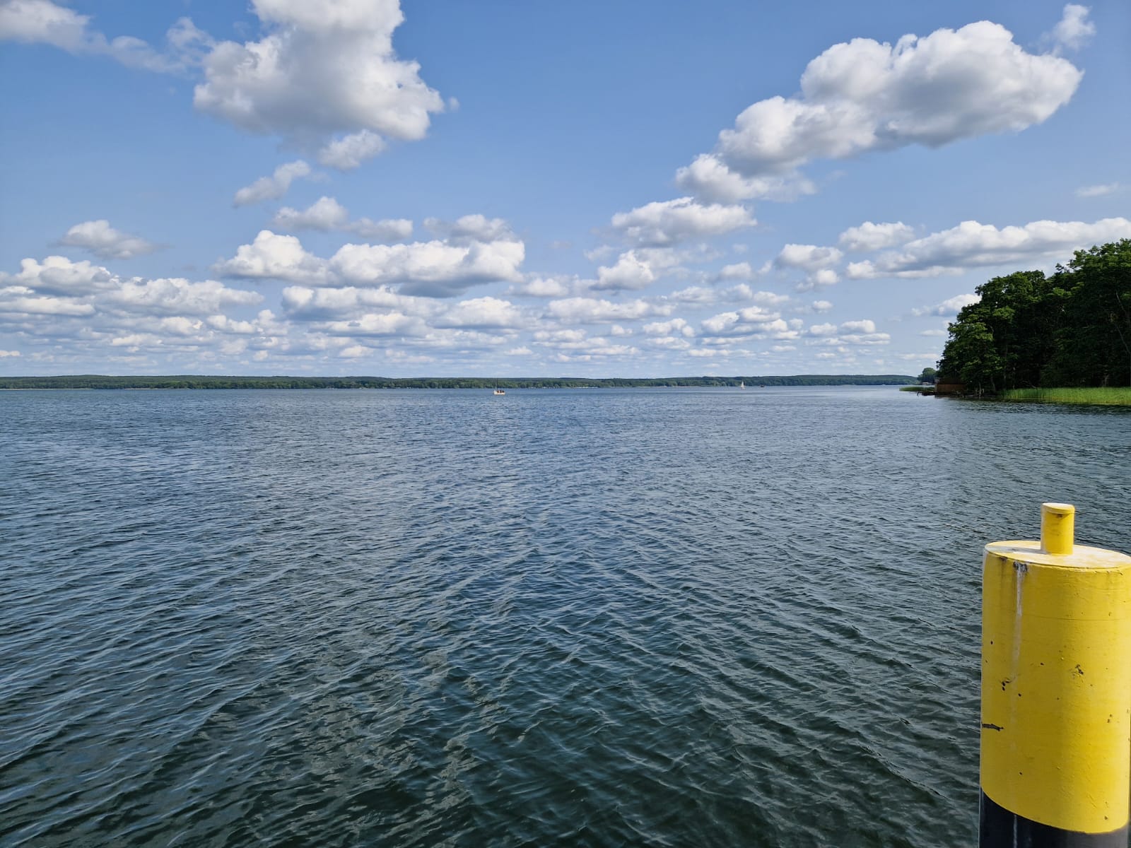 WhatsApp Image 2025-06-12 at 08.47.31 (1)