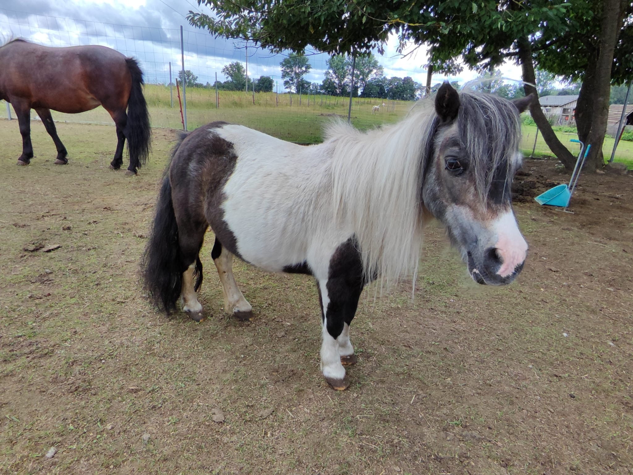 WhatsApp Image 2025-08-02 at 14.51.30 (1)