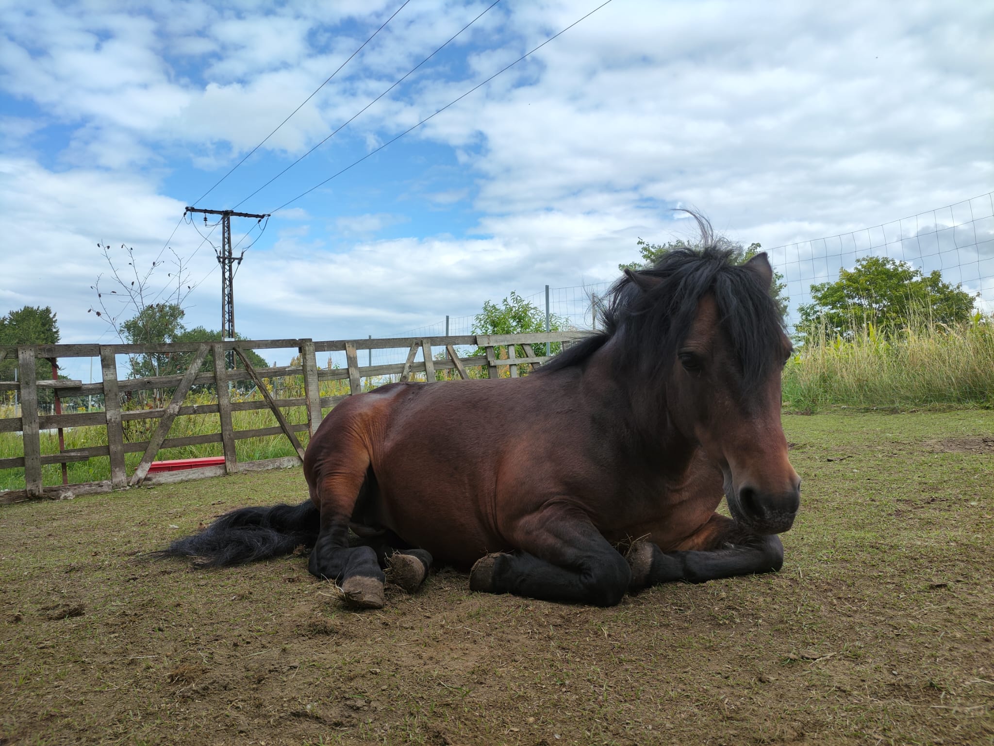 WhatsApp Image 2025-08-02 at 14.55.47